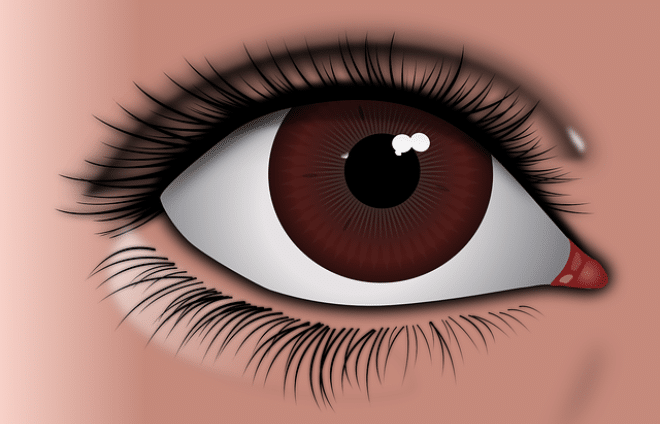 Human Eye Colours